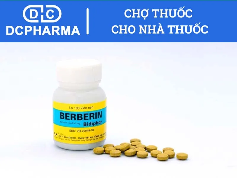 berberin la thuoc gi 6756a3123037a