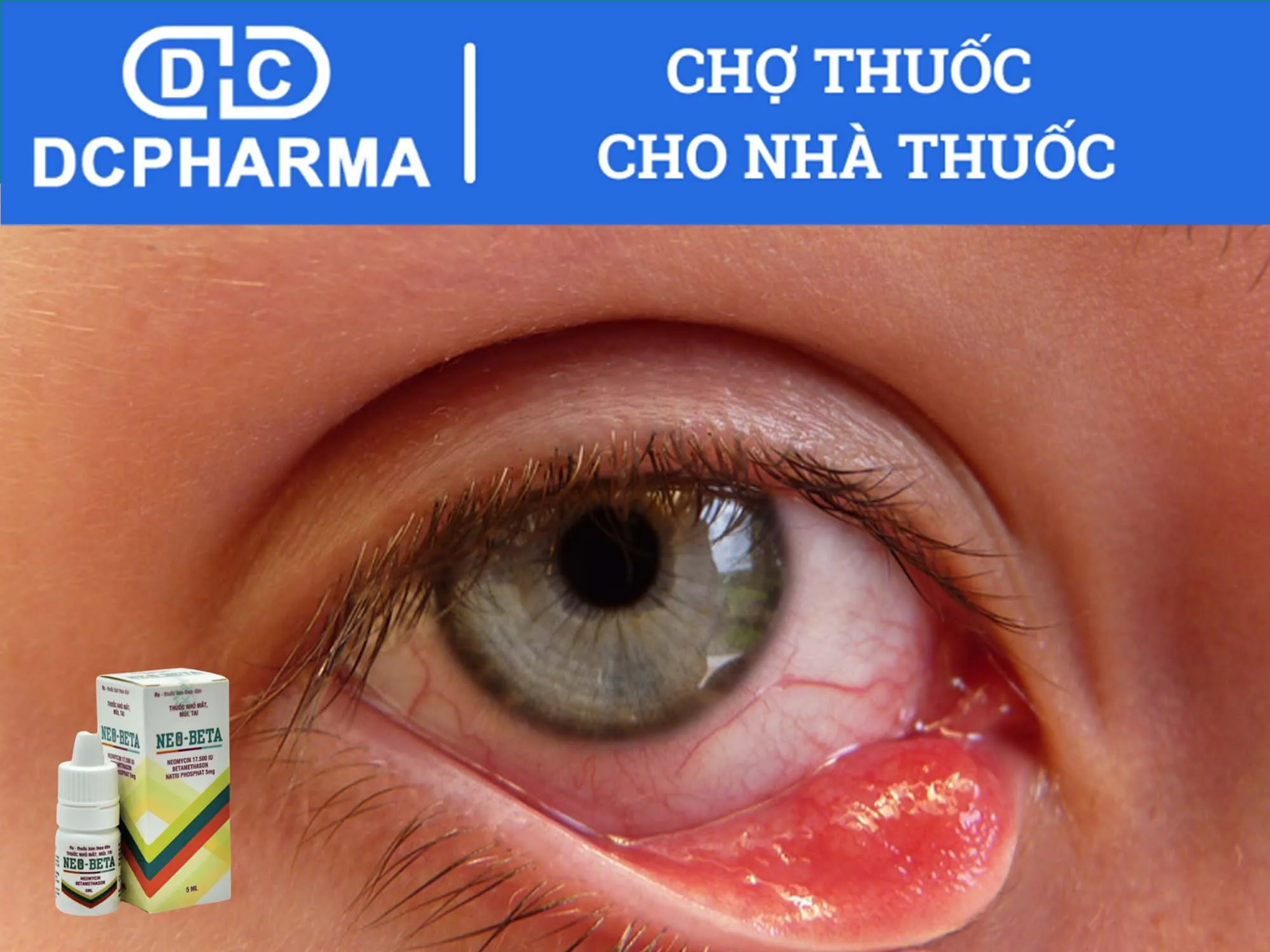 Thuốc Neo Beta có tác dụng gì?