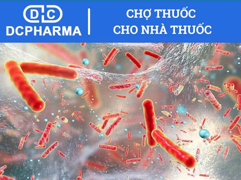 Metronidazole thuốc gì?