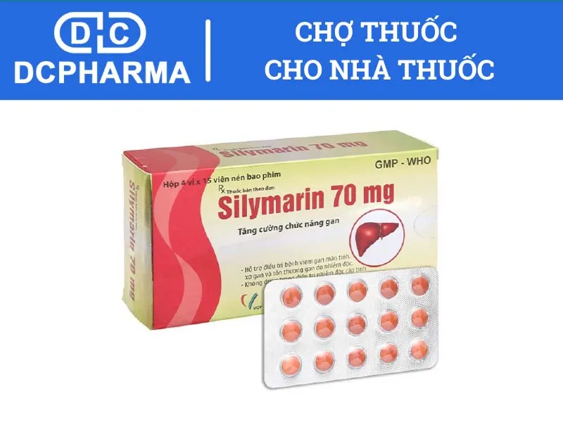 thuoc silymarin la gi tac dung va huong dan su dung silymarin 67569c568dfe1